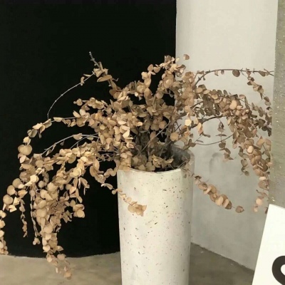 兽设火焰元素融合福瑞群